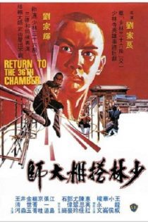 دانلود دوبله فارسی فیلم Return to the 36th Chamber 1980