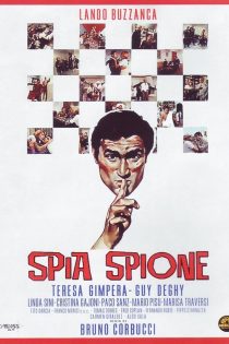 دانلود دوبله فارسی فیلم Spia spione 1967