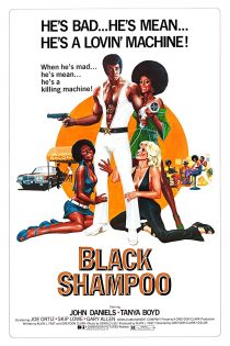 دانلود دوبله فارسی فیلم Black Shampoo 1976