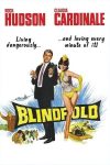 دانلود دوبله فارسی فیلم Blindfold 1965