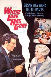 دانلود دوبله فارسی فیلم Where Love Has Gone 1964