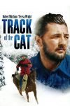 دانلود دوبله فارسی فیلم Track of the Cat 1954