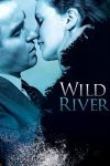 دانلود دوبله فارسی فیلم Wild River 1960