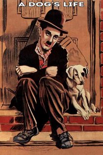 دانلود دوبله فارسی فیلم A Dog’s Life 1918