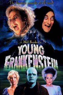 دانلود دوبله فارسی فیلم Young Frankenstein 1974