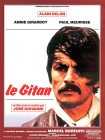 دانلود دوبله فارسی فیلم The Gypsy 1975