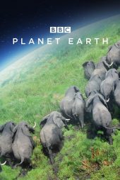 دانلود دوبله فارسی سریال Planet Earth