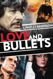 دانلود دوبله فارسی فیلم Love and Bullets 1979