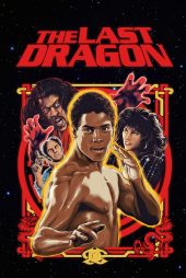 دانلود دوبله فارسی فیلم The Last Dragon 1985