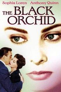 دانلود فیلم The Black Orchid 1958